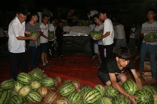 景区内女子吃瓜,瓜中藏宝引游客围观