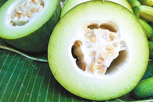 Ly吃瓜,揭秘娱乐圈那些不为人知的幕后故事