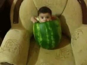 好笑的吃瓜照片,这些萌态照片让人捧腹