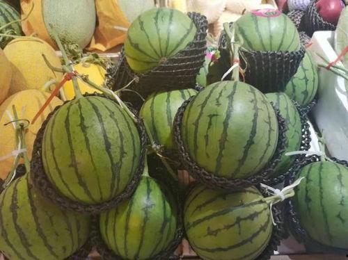 意大利场边吃瓜,吃瓜群众见证激情赛事