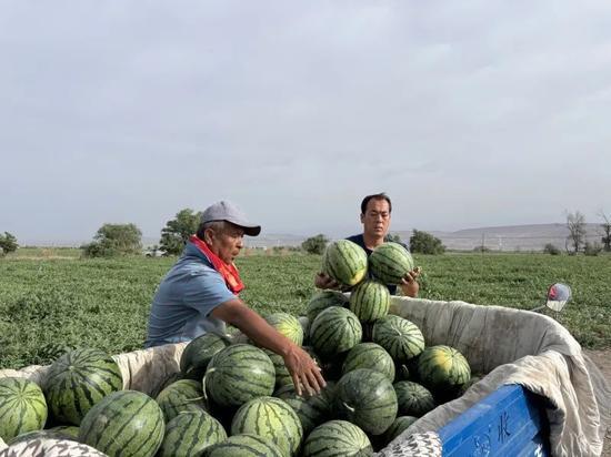 德国骨科年度吃瓜,盘点那些让人“吃瓜”的骨科新闻与趣事