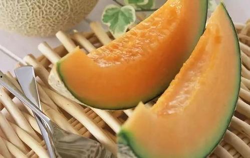 kayla吃哈密瓜,Kayla的哈密瓜美食之旅