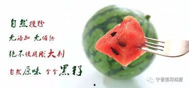 宁晋奥体吃瓜,一场吃瓜群众的狂欢盛宴