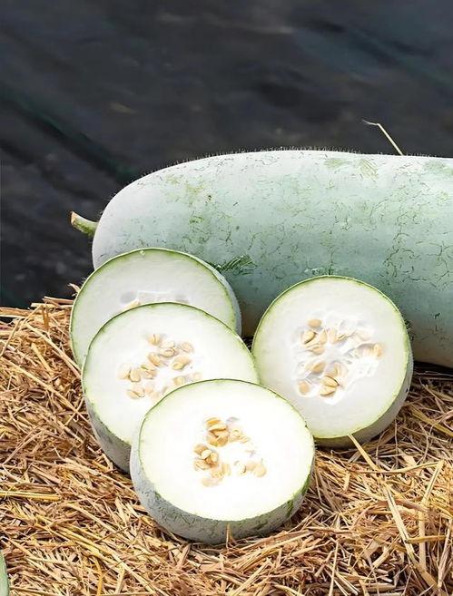 冬天什么瓜可以吃,这些瓜类美食不容错过