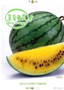 吃瓜集合社 中国,中国网络社交新现象深度解析