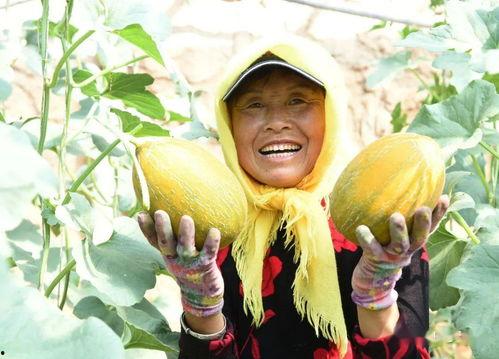 迪迪迪吃瓜,揭秘娱乐圈幕后故事