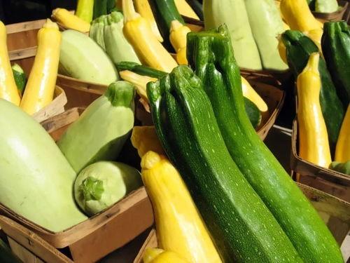 带你吃瓜早期,揭秘带你吃瓜早期那些事儿