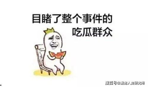 天天吃瓜什么梗