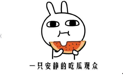 网络吃瓜是意思,揭秘虚拟世界的围观文化