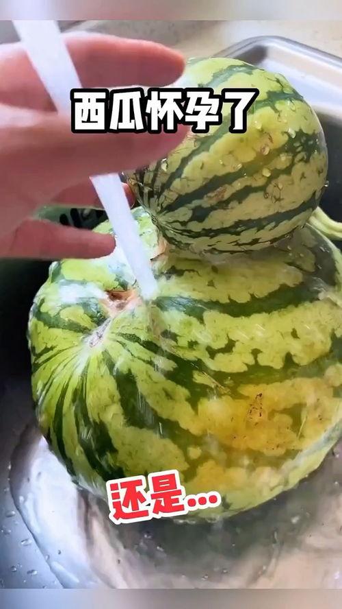 搞笑吃瓜料视频,笑到肚子疼