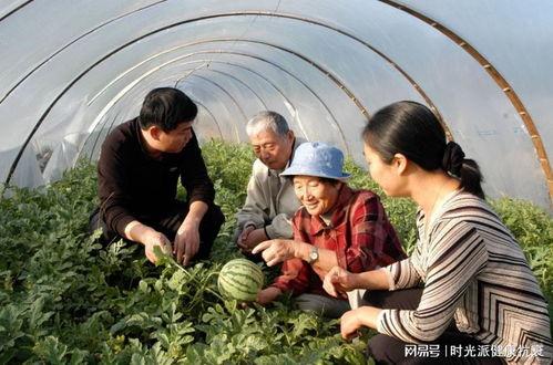 徐老太吃瓜,揭秘网络热议背后的真相
