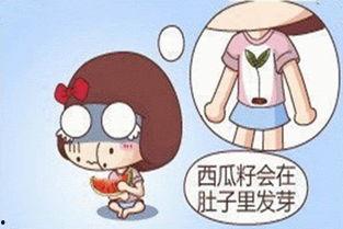 吃瓜吃到忘了没钱,忘却钱包空空如也