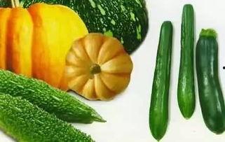 变老吃瓜群众,变老吃瓜群众的趣味人生