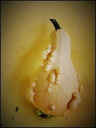 新沂吃瓜合集,揭秘当地美食文化盛宴