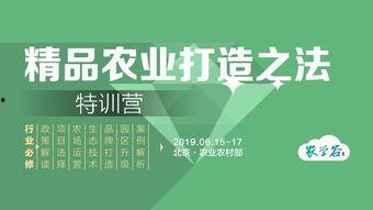 吃瓜广告的商机,挖掘夏日清凉商机新风口