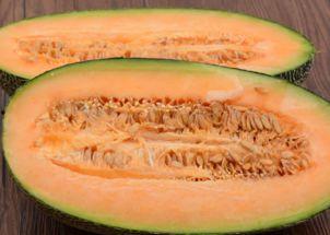 吃哈密瓜的记录,甜蜜滋味，回味无穷