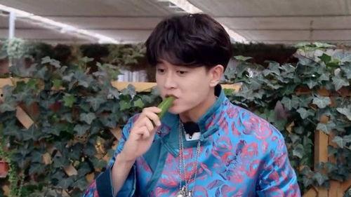 娱乐吃瓜任嘉伦,娱乐吃瓜界的“瓜王”