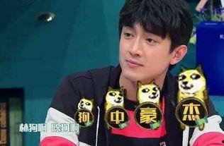 吃瓜b-boy,揭秘街舞界的“瓜王”传奇