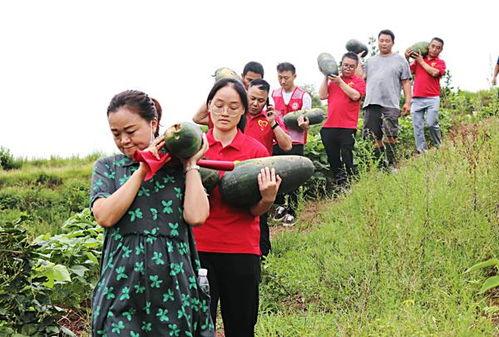 各界吃瓜视频,揭秘各界热门视频背后的故事