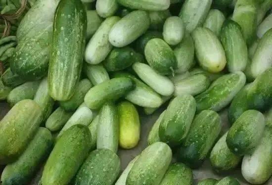 沭阳烧瓜吃,烧瓜吃，传承与创新的味道