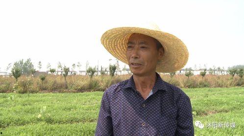 沭阳烧瓜吃,烧瓜吃，传承与创新的味道