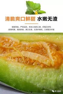 沭阳烧瓜吃,烧瓜吃，传承与创新的味道