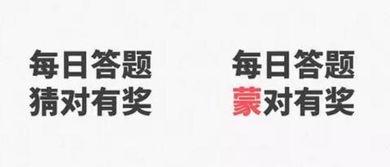 吃货吃瓜标题文案怎么写,吃货吃瓜，尽享味蕾盛宴与娱乐狂欢