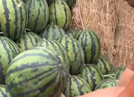 从吃瓜变成一个瓜,我的奇妙蜕变之旅