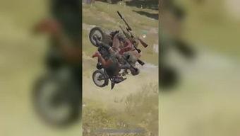 小豆豆吃鸡瓜,小豆豆的奇幻鸡瓜之旅