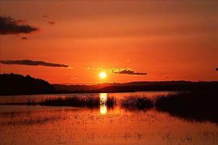 夕阳杯吃瓜,一场吃瓜盛宴，揭秘幕后风云