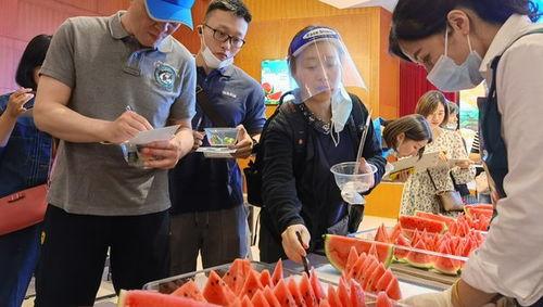 河南吃瓜阿姨,揭秘民间美食背后的故事