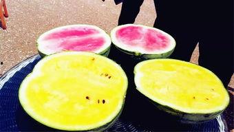 吃瓜爆料吃各种瓜