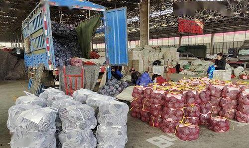 寿光楼顶吃瓜,寿光夏日风情无限