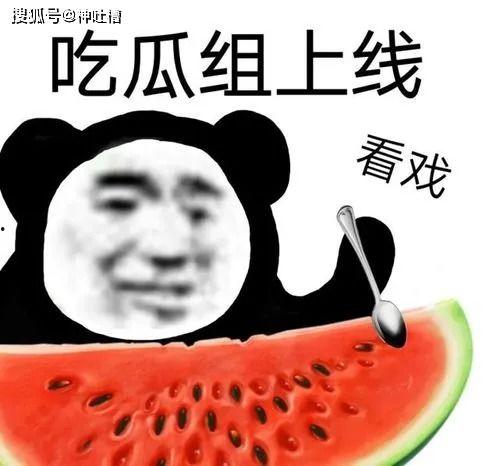 吃瓜举报,揭秘网络“吃瓜”举报背后的真相与反思