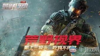 怀孕吃鸡瓜行吗,孕妇吃鸡瓜的安全性分析