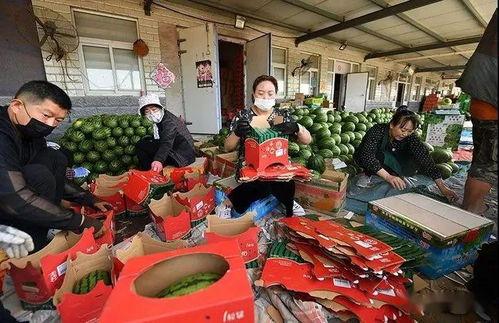 乌鲁木齐吃瓜群众,吃瓜群众的夏日狂欢