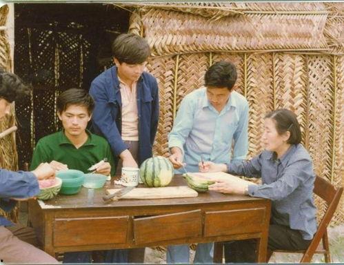 吃瓜网62,揭秘娱乐圈背后的那些事儿