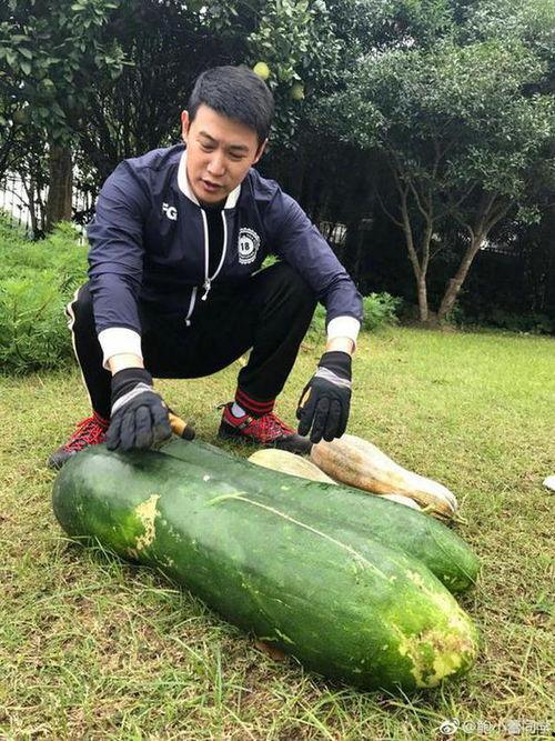 好笑的吃瓜照片,这些萌态照片让人捧腹