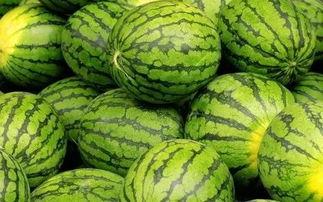 参吃马上吃瓜孑