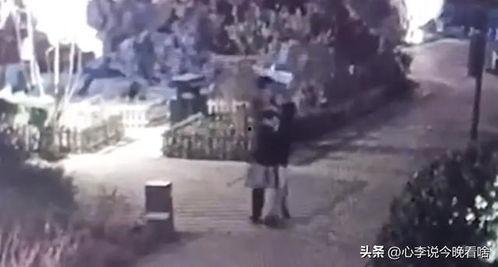 景点吃瓜原视频,揭秘网红打卡地的真实美食体验