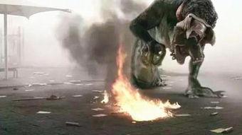 汉江怪物吃瓜视频,汉江怪物吃瓜现场，真相令人胆寒