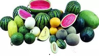 东南吃瓜,吃瓜群众的味蕾盛宴