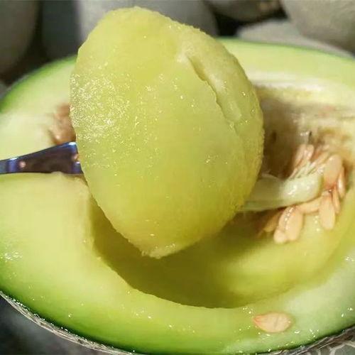 吃瓜群海南,揭秘热带风情下的美食江湖