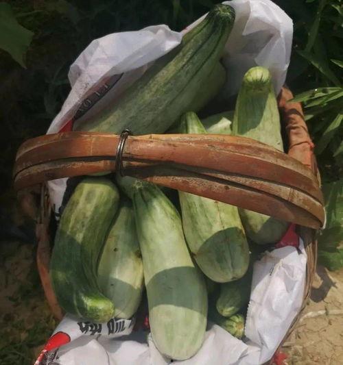 瓜货吃咸阳,咸阳古城的甜蜜记忆