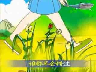 吃瓜的故事视频,揭秘吃瓜群众的趣味故事