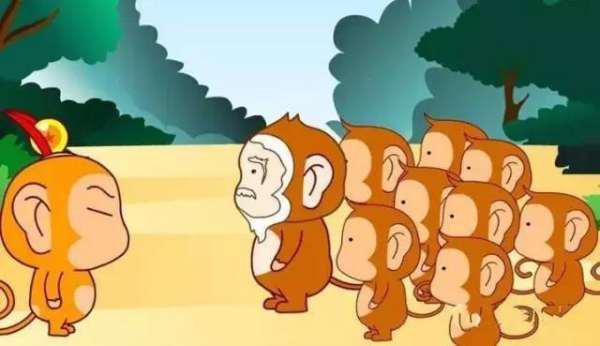 吃瓜的故事视频,揭秘吃瓜群众的趣味故事