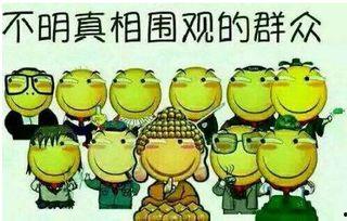 极品的吃瓜群众,极品吃瓜群众的狂欢盛宴