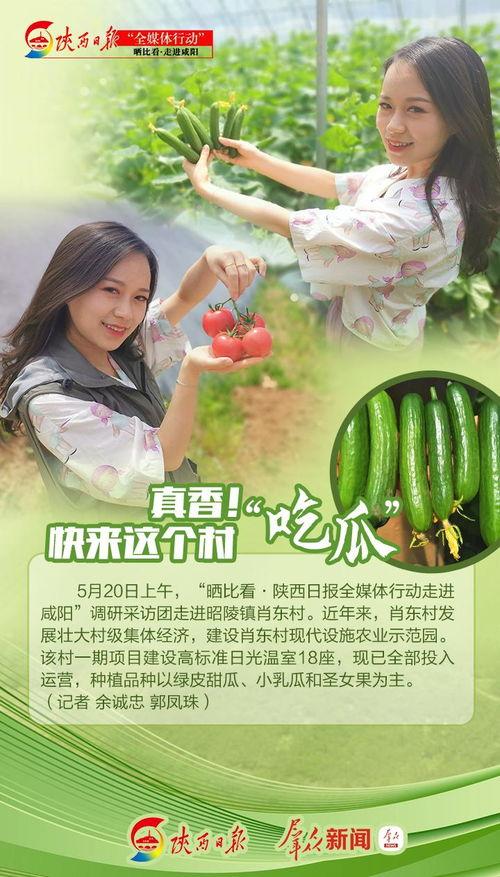 吃瓜的日记真香,真香背后的故事与感悟