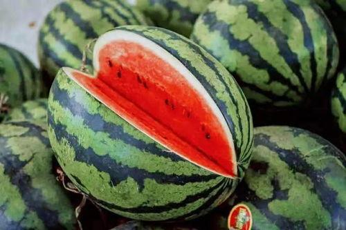 奉化幼师吃瓜最新,奉化幼师吃瓜事件背后的真相揭秘