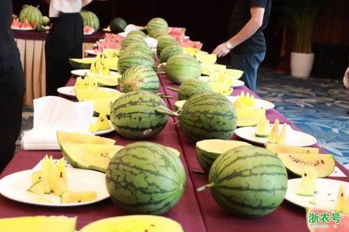 奉化幼师吃瓜最新,奉化幼师吃瓜事件背后的真相揭秘